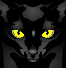 Foto op Plexiglas black lady-cat with yellow eyes on a black background © Argus