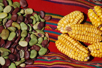 Obraz na płótnie Canvas Fasoli i kukurydzy na rynku Andach
