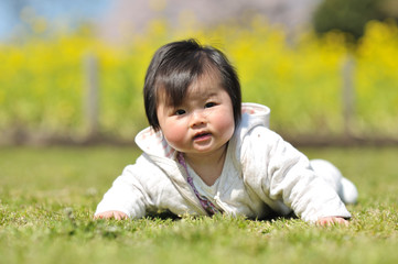 芝生の上で腹ばいになってる赤ちゃん