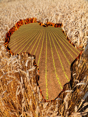 Fototapety na wymiar - Fototapeta24.pl