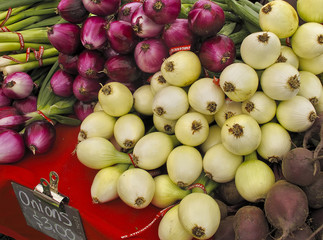 Organic onions for sale at Farmers Market