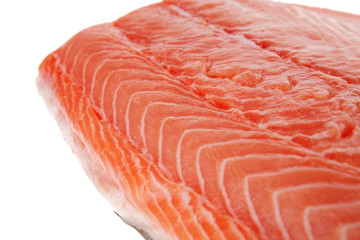 fresh uncooked salmon fillet
