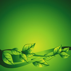 vector green leaf