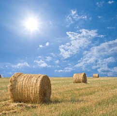 haystacks in a field