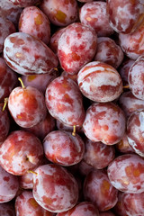 Fruit  plums  fresh