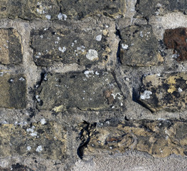 bricks