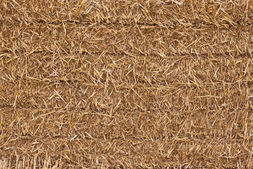 square hay bale - closeup © theclarkester