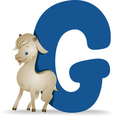 G for Goat