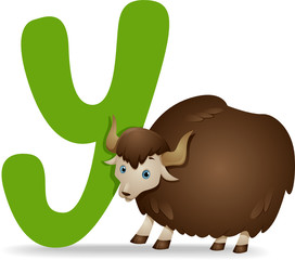 Y for Yak