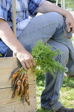 Femme assise une botte de carottes à la main