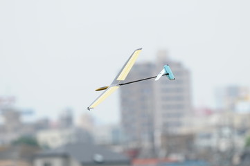 ラジコングライダー