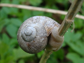 ich muss mich festhalten