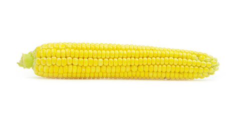 maize