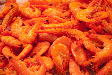 shrimps