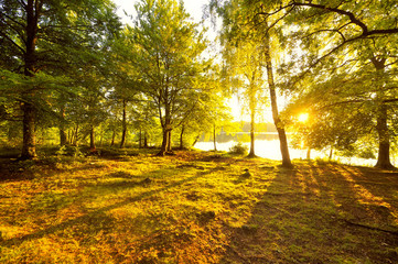 Indian Summer 1
