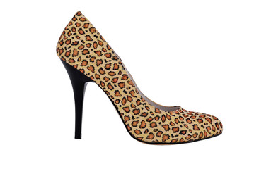 leopard shoes © vetkit