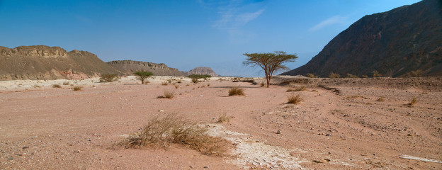 desert views in Timna Park