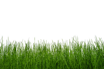 Gras 5.1