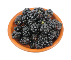 Wild blackberries in a small bowl