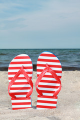 Fototapeta premium Flip Flop