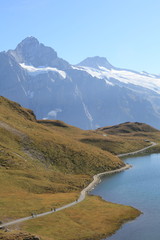 Swiss Alps: Bachalpsee hiking trail of Jungfrau, Switzerland