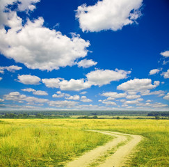 Fototapeta premium Country road through field