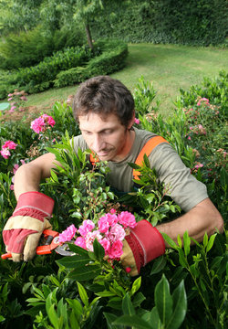 gardener in working