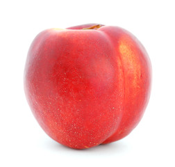 Nectarine