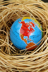 Globe in a bird's nest