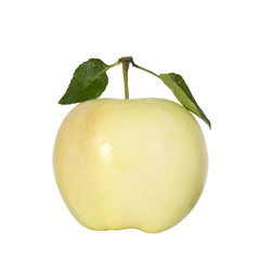 Tasty yellow apple with two green leaves