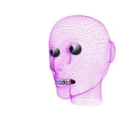 3D wire face