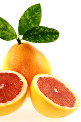 pomelo rose