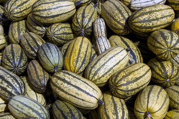 Delicata squash