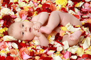 Obraz na płótnie Canvas Small cute boy in rose-petals