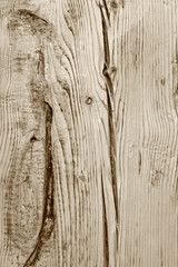 Wood texture (sepia toned)