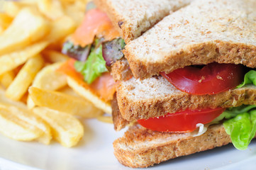 Fresh Salmon Sandwich and French fries