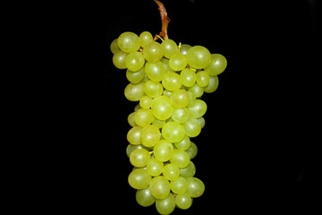 Grapes