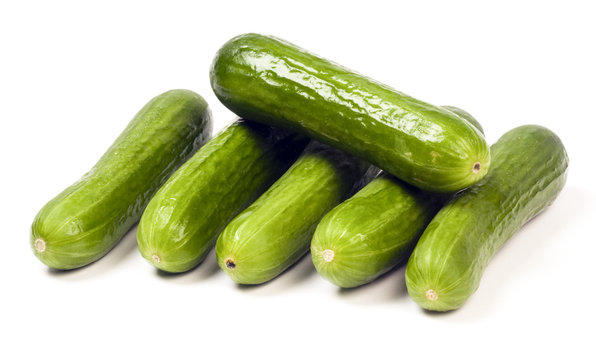 Persian Mini Cucumbers Seedless Gourmet Food