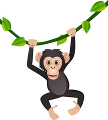 Crédence de cuisine en verre imprimé Zoo Chimpanzé mignon