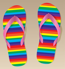 vector pair of flip flops on the sand