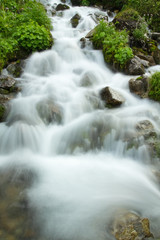Fototapeta na wymiar Rapid mountain stream. Caucasus
