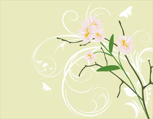 Pink flowers on the decorative background. Vector