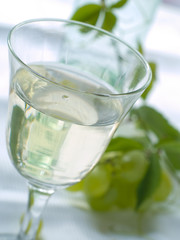 White wine