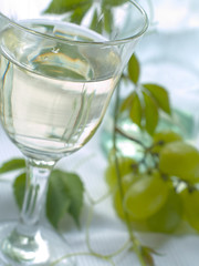 Wine