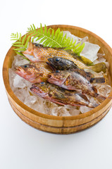 鮮魚