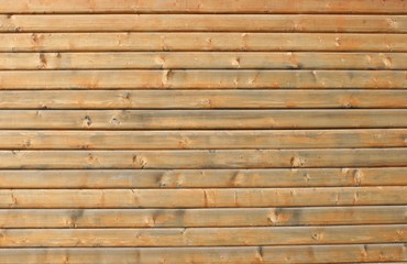 Wooden texture - wall