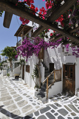 Bougainvillea & whitewashed buildings Mykonos Town Greece. © Pippa West