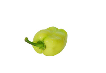green bell pepper yeşil dolma biber
