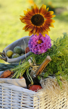 Fruits légumes et fleurs dans un panier