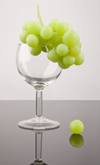 Grape and wine glass with gray background